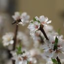 참아름 5단지 이미지