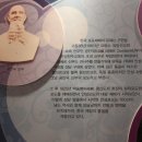 안성서운포도 이미지