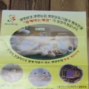 꼬꼬계란 이미지