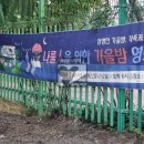 나룰스크린 네이버블로그