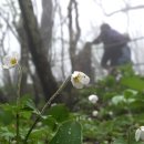 박은영농장 이미지