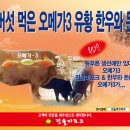 진솔미코리아 이미지