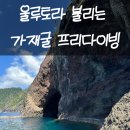 가재 | 울릉도 프리다이빙 포인트 통구미항 가재굴 후기