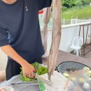 정성하우스 | [여수펜션] 여수뮤지컬하우스 연박 후기! 수영장부터 조식서비스까지 완벽