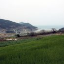 청산도 상서마을 옛 담장 이미지