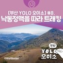 욜로오이소 이미지