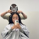일산 엘리자벳펌 성공한 후기 : 디자인바이문 문경주 디자이너 여자 긴머리펌