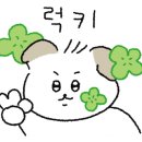 텍사스파파 크레페 잠실점 네이버블로그
