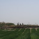 제주 올레길 20코스 이미지