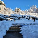 송죽펜션 이미지