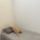 옴뜨 이미지