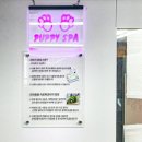 강아지 미용실 이미지
