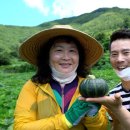 남해-154 이미지