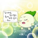 웨딩홀 투어 (강남, 동시예식, 300명 이상 홀만 거의 10군데 둘러보기) 🌿