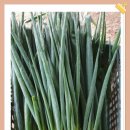 석수농장2 이미지