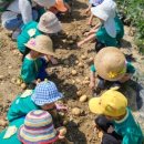 내아들농장 이미지