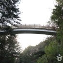 속 이미지