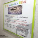 까치복집하종률