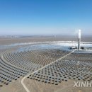 지시태양광발전소 이미지