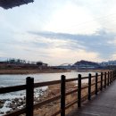 가족들과 서울숲, 중랑천/청계천 산책후 카페 데이트 후기 / 내돈내산