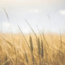 화곡6동주민센터 이미지