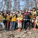 숲&나무치과의원 이미지