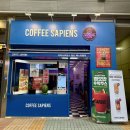 커피사피엔스일산웨스턴돔점 | 정발산 무료 주차하는 법 가성비 카페 커피사피엔스 일산웨스턴돔점