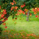 울산북정동우체국 이미지