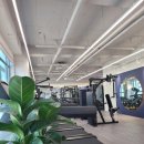 슈퍼맨짐 이미지