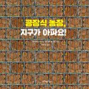 1.2월 합본호 새로나온책 이미지