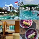 [인기숙소] 더끌림 온수수영장 | 파드마 리조트 우붓 발리 정글 수영장 아이랑 숙소 추천