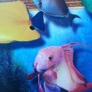 한국폴리텍V대학 익산캠퍼스 이미지