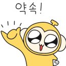 플러스미용재료