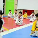 SAEM태권도장 이미지