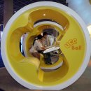 오늘의 포토뉴스(4/20) 이미지