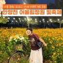 어울림화원 | 추석연휴 가을 갈만한곳 추천｜안양천 어울림정원 빛축제 후기 황화코스모스 명소