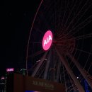 미스터소프티