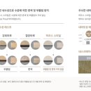 수원-0761 네이버블로그