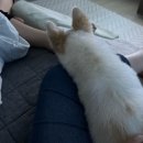 힐튼장 | [240519] 분명 집순이였는디...