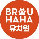 브루하하유치원 이미지
