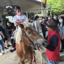 가가홀스 이미지