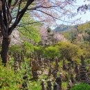 산성가축 이미지