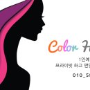 탐나는 칼라 이미지