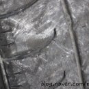 한국타이어남구총판 이미지