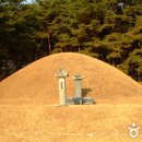 전사벌왕릉 이미지