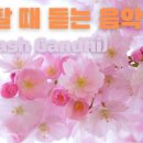 멍shower(멍샤워) 네이버블로그