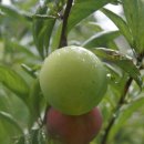 웰빙쉼터 이미지