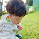 전남도청비둘기어린이집 | 아기와 산책하기 좋은 전남도청 호수공원