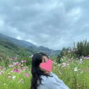 백하동축산 | 지리산(하동) 여행 숙소 기록-신박힐링캠프A6&지리산힐링펜션 물소리방