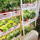 보광세탁소 이미지